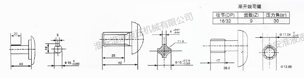 CBN-F300雙聯泵系列